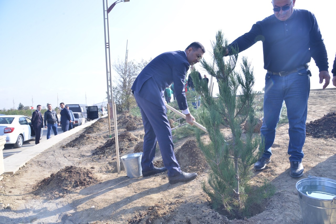 Qaradağda Zəfər Gününün 5 illiyinə həsr olunmuş tədbirlər keçirilib - FOTOLAR